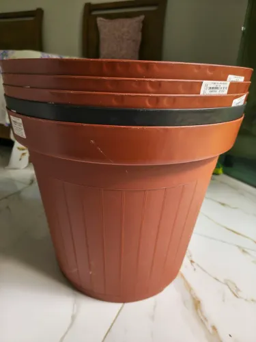 Vasos de plantas em plástico.