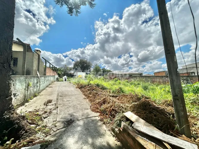 TERRENO EM RUA - Vila Lina - CONTORNO - 462 m² (14 metros x 33 metros)