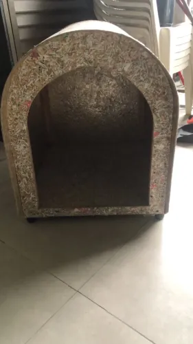 Casinha de cachorro