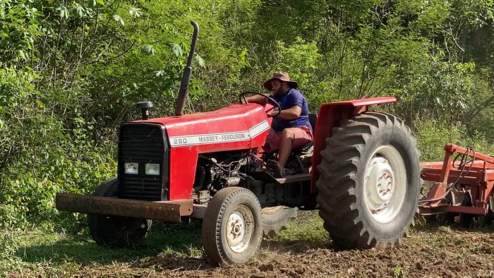 Trator Massey Ferguson modelo 290