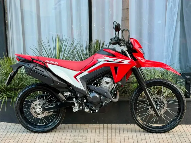 XR 300L TORNADO FLEX