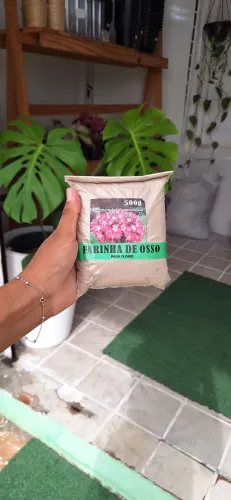 Farinha de osso