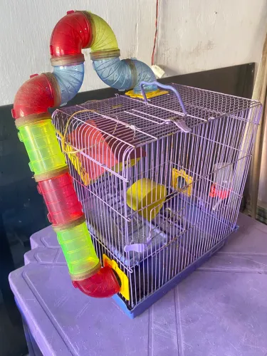 Gaiola para Hamster