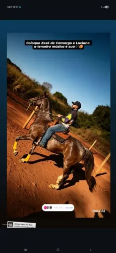 Cavalo manga larga Paulista com Árabe, cavalo de xincha e liga de gado ...