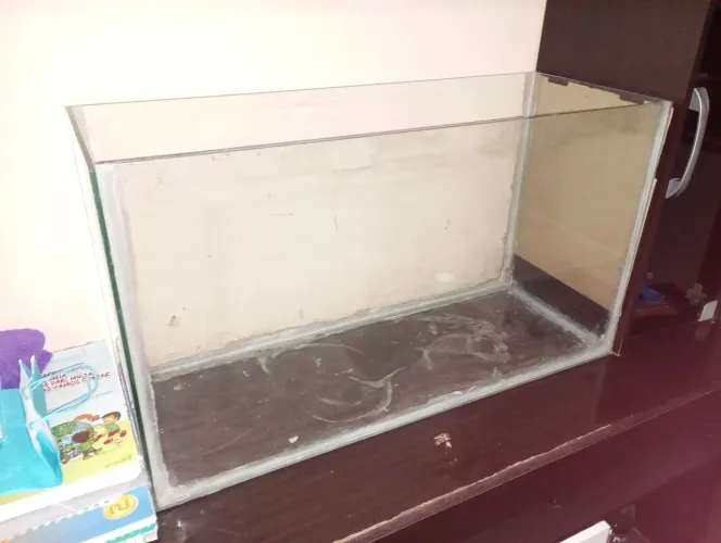 Aquário 