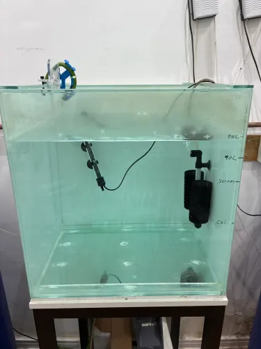 Aquário cubo 50x50x50 com estrutura em metalon