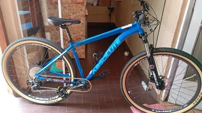 Bicicleta