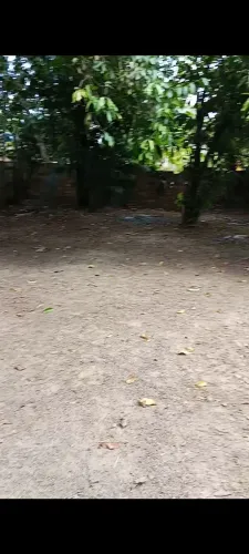 Vendo terrenos medindo 8x15 próximo a praia da Brasília outeiro