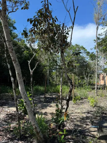Terreno em Arraial d`Ajuda