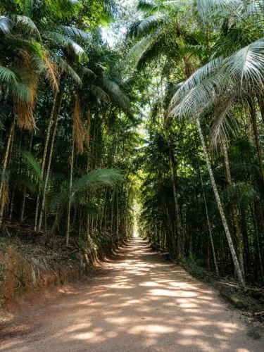 ? SÍTIO TÚNEL DO TEMPO - UM REFÚGIO EXCLUSIVO EM SANTA MARIA DE MARECHAL