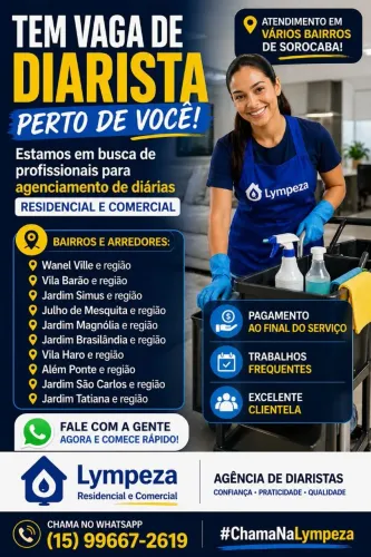 Diarista 