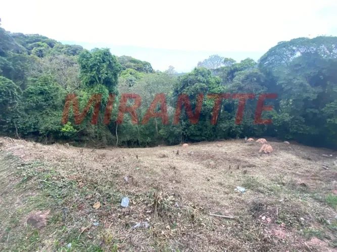 Terreno em SANTA INÊS