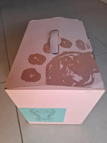 Canguru (bebê)