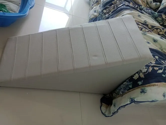 Rampa pra cachorro