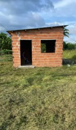 Pedreiro 
