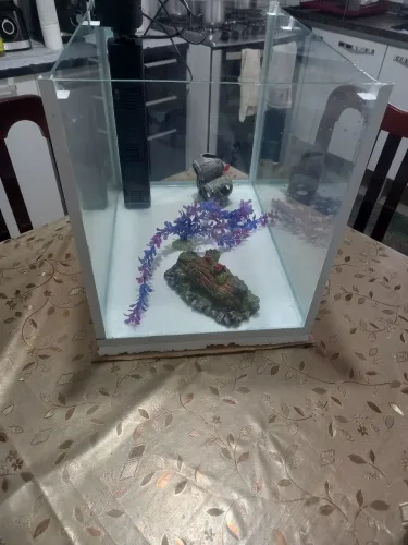 Aquário