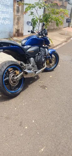 Hornet 2010