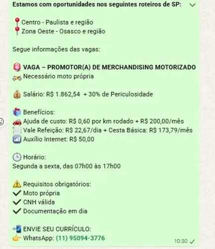 PROMOTOR MOTORIZADO