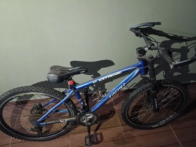 Bicicleta Fischer