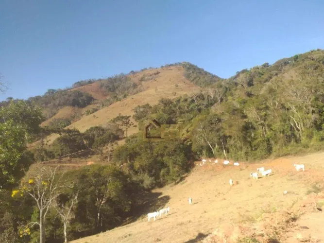 Linda Fazenda á venda na cidade de Carvalhos MG