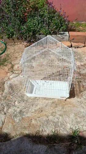 Gaiola pra Calopsita 