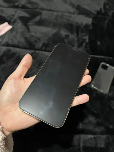 iphone 12 pro Max