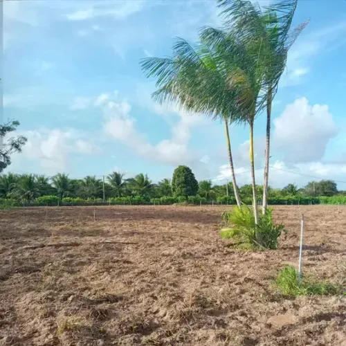 Excelente Granja com 7 hectares em monte alegre