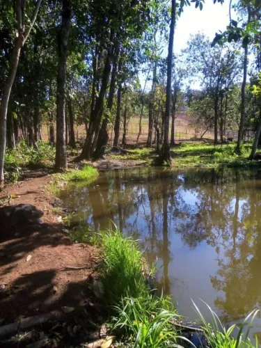 SÍTIO EM CRAVINHOS