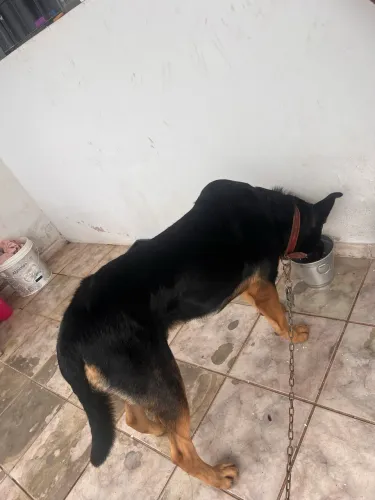 Doação