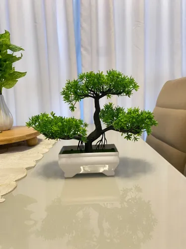 Planta bonsai decorativa
