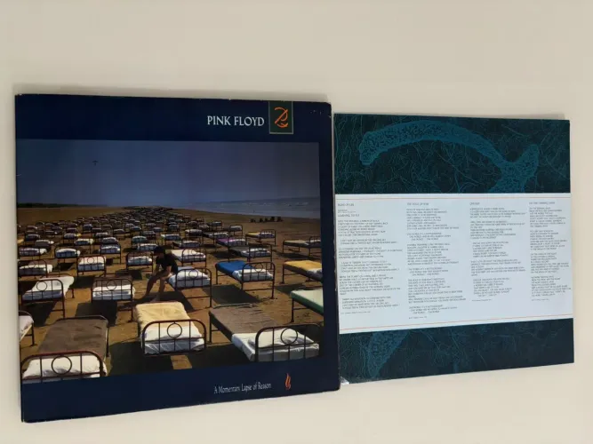 LP Disco de Vinil Pink Floyd - A Momentary Lapse Of The Reason