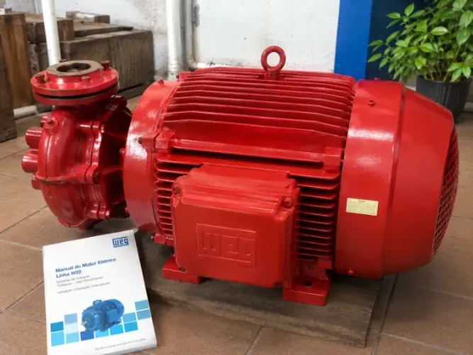 Motor Weg 75 CV