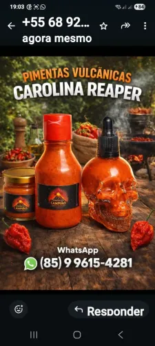 Molho pimenta carolina reaper