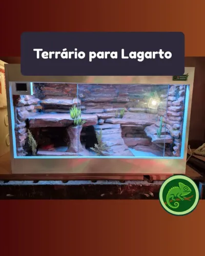 Terrário com Beckground personalizado Curitiba