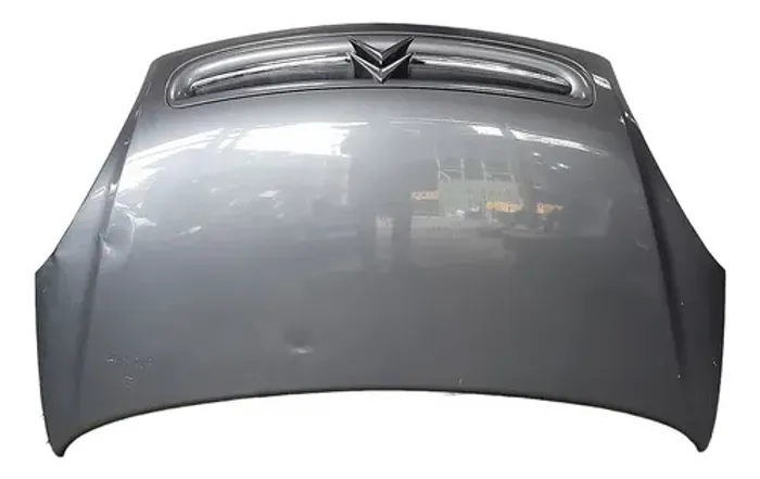 Capô Citroën Xsara Picasso 2.0 2004 V1643 - P7