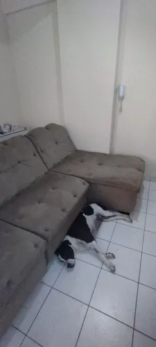 Vende-se sofá com 3m