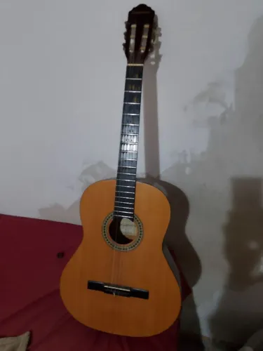 Violão Giannini