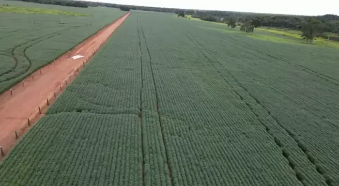 Fazenda a venda, na Região do Vale do Araguaia- Goiás!