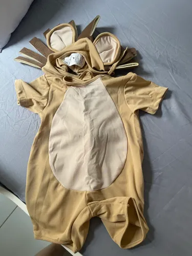 Fantasia Leão Tam P