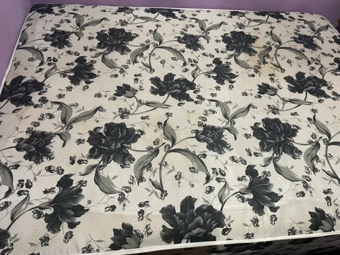Cama