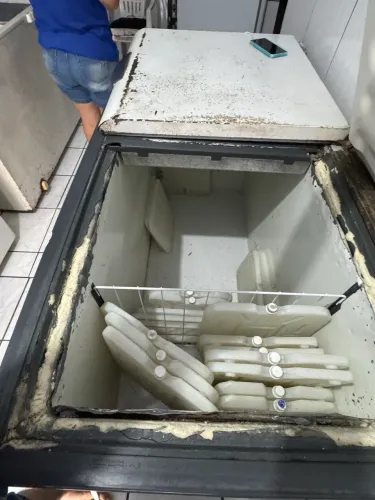 Freezer Horizontal 