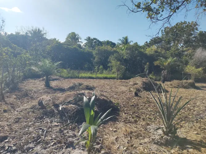 LOTE A VENDA A EM ÁGUA COMPRIDA A 800 MTS DA LINHA VERDE E 4 KM DA PRAIA DE PORTO DO .