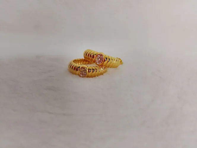 Brinco Argola Com Brilho 
