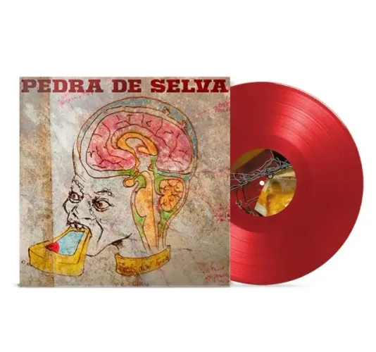 lp curumim pedra de selva