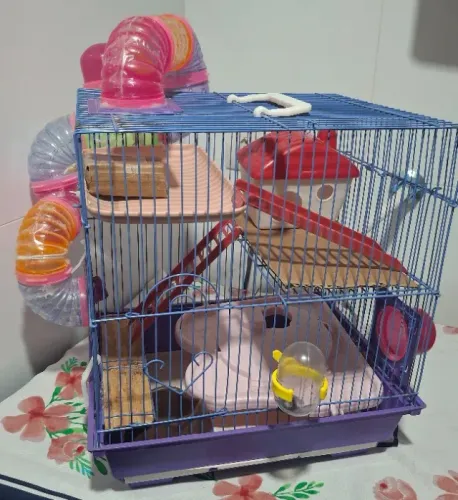 Gaiola hamster