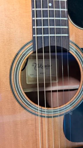 Takamine japonês p1dc