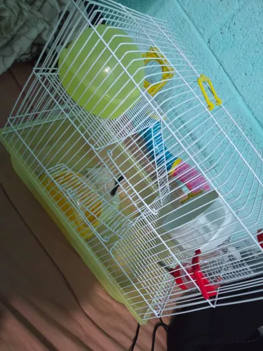 Vende-se Gaiola para Hamster