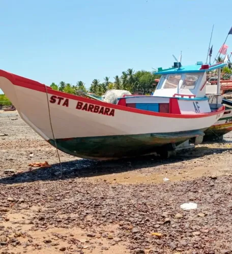 Biana a venda funcionando tudo perfeitamente Valor (35 mil )