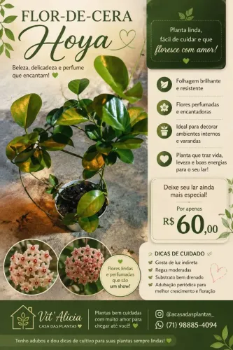 Flor de cera