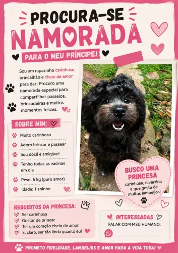 Meu dog está a procura de uma namorada